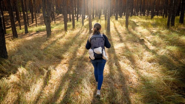 Rear view image of young female tourist walking on dry grass in pine tree forest.