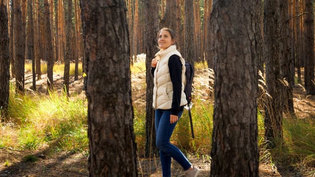 Beautiful young female tourist looking on high pine trees while walking in autumn forest.