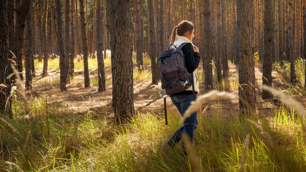 Female tourist hiking in pine forest at mountains.