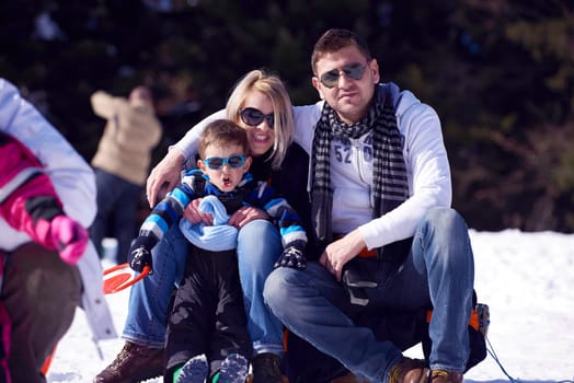 portrait of happy young family sitting on slides at beautiful winter day