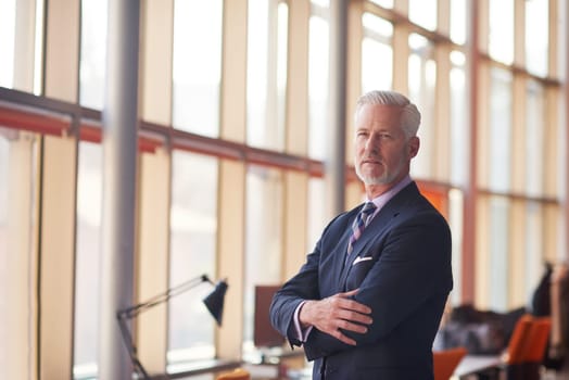 portrait of senior business man with grey beard and hair alone i modern office indoors