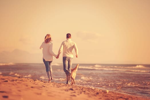 Couple Running On The Beach Holding Their Hands with dog On autmun day
