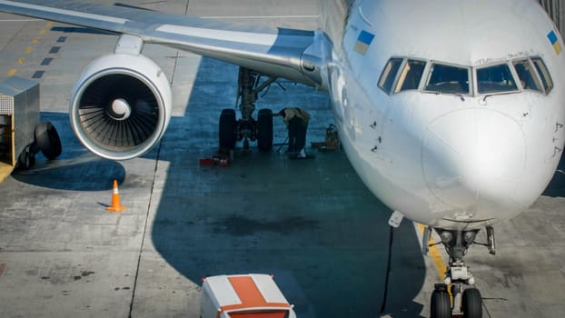 Professional mechanics in airport ground crew checking airplane chassis before flight.