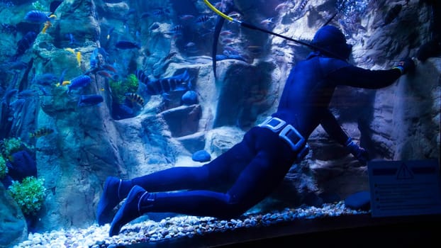 Underwater image of professional diver cleaning big aquarium in the zoo or shopping mall.
