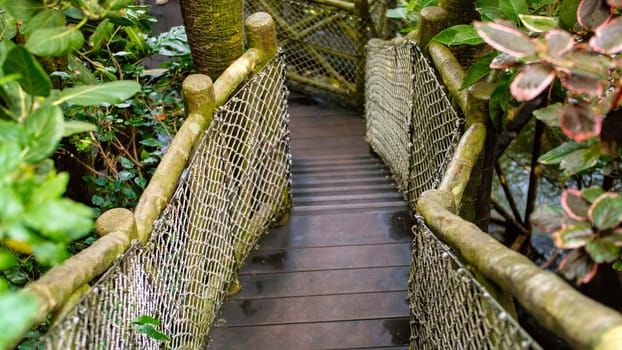 Narrow wooden bridge made of ropes and bamboo in tropical jungle forest.