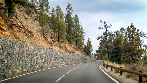 Long highway going through pine forest in mountains.