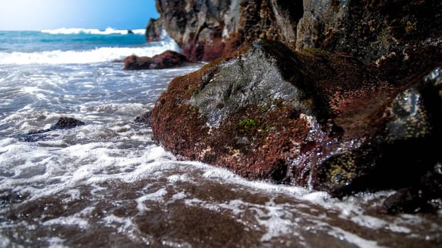 Closeup image of seaweeds growing on the sharp cliffs and rocks in the ocean.
