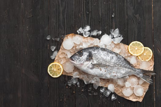 Raw dorada fish or gilt-head bream on ice with lemon slices and rosemary over black wooden background, flat lay, top view.