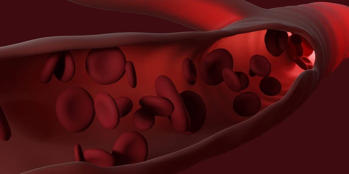 Red blood cells flowing through the veins. Close up view from inside. 3d rendering. Medicine and science micro technology
