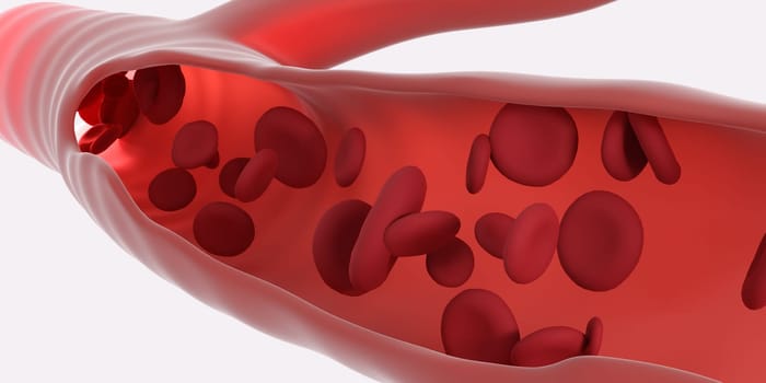 Red blood cells flowing through the veins. Close up view from inside. 3d rendering. Medicine and science micro technology. White background