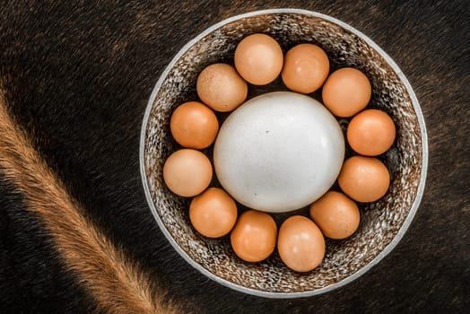 An Ostrich Egg in a bowl, surrounded by twelve large chicken eggs, viewed from the top as the bowl is placed on an oryx skin.
