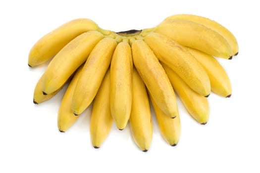 natural small tropical banana in a bunch over white background