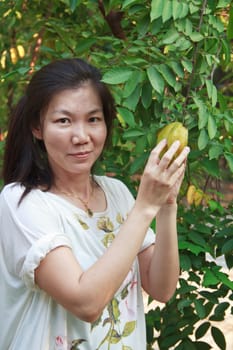 Beautiful woman picking the Ma Fai in the garden