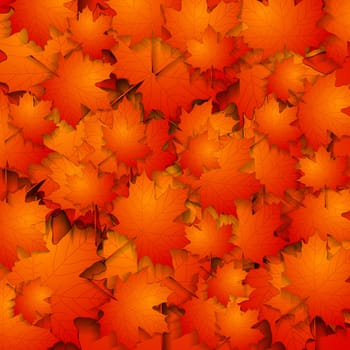 Vector autumn background with maple leaves