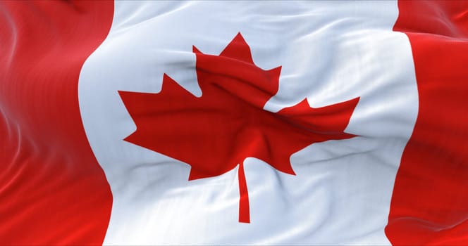 Detail of the National Flag of Canada waving in the wind. Red maple leaf charged in the centre. Democracy and politics. North American state