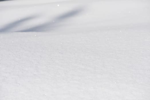 fresh snow close up background in winter forest landscape nature in sunny morning