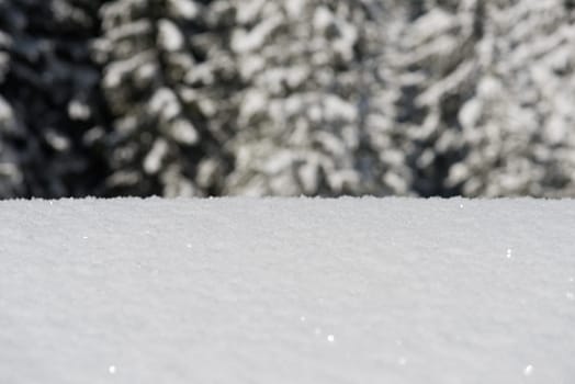 fresh snow close up background in winter forest landscape nature in sunny morning