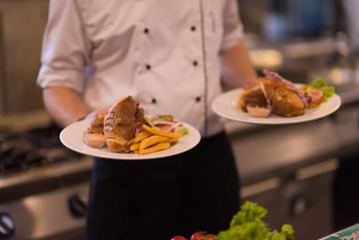 young Chef presenting dishes of tasty meals in commercial kitchen