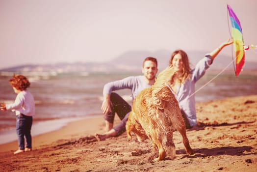 happy young family with kids having fun with a dog and  kite at beach during autumn day filter