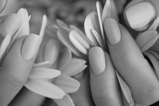 beauty delicate woman hands with manicure holding flower close up