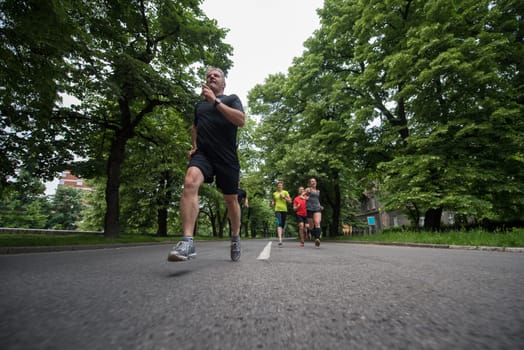 group of healthy people jogging in city park, runners team on morning training