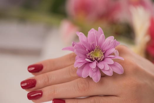 Beautiful fingers with french manicure on the towel. Manicure in a beauty salon.