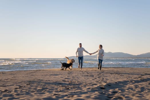 Couple Running On The Beach Holding Their Hands with dog On autmun day