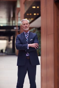 portrait of senior business man with grey beard and hair alone i modern office indoors