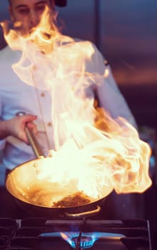 Chef cooking and doing flambe on food in restaurant kitchen
