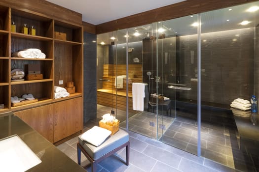 decoration and furniture in modern sauna room