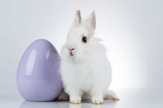 Baby bunny and egg, easter background