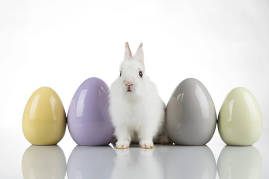 Baby bunny and egg, easter background