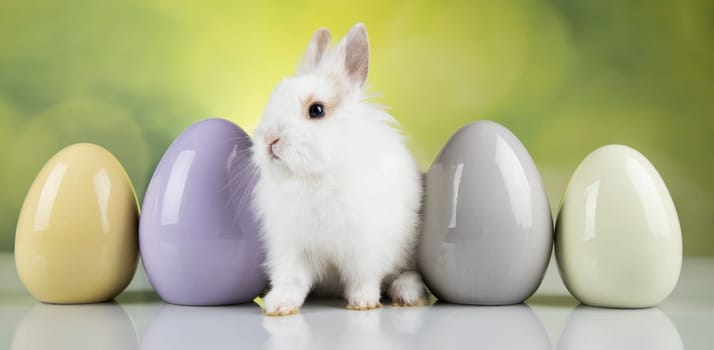 Baby bunny and egg, easter background