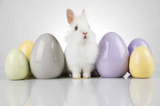 Egg,Little bunny, happy easter background