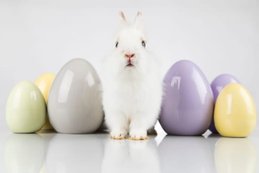 Egg,Little bunny, happy easter background
