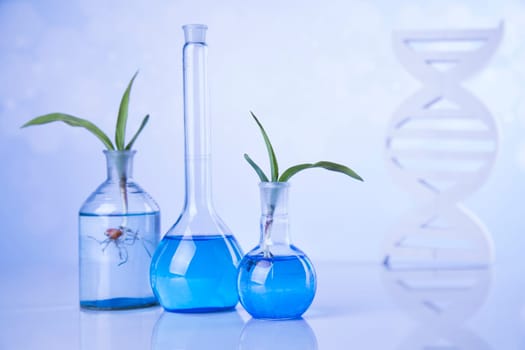 Chemical laboratory glassware, Genetically modified plant