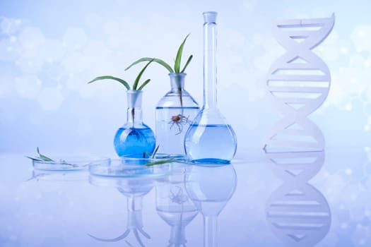 Plant laboratory experimental, Chemical glassware