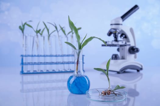 Microscope, Chemical laboratory glassware, Genetically modified plant
