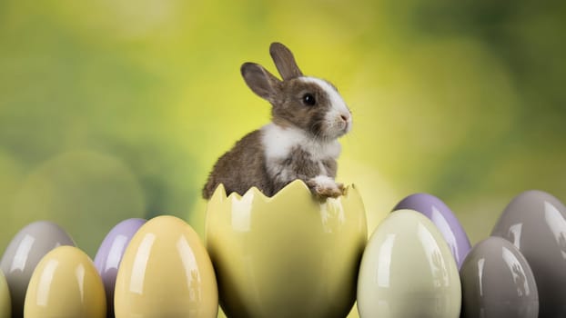 Little bunny, happy easter background