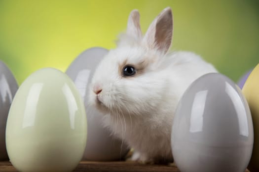Baby bunny and egg, easter background