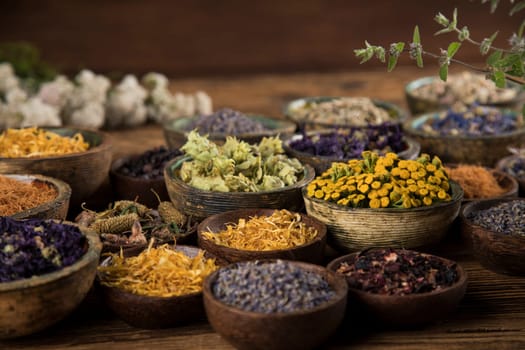 Herbs medicine and vintage wooden background