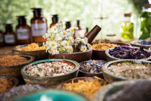 Homeopathy, herbal medicine on wooden table
