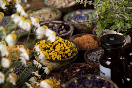 Alternative medicine, dried herbs background