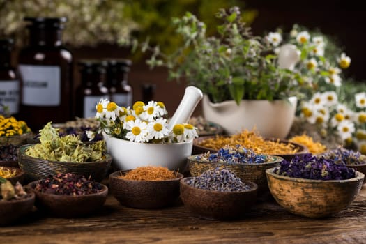 Alternative medicine, dried herbs background