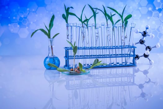 Plant laboratory experimental, Chemical glassware