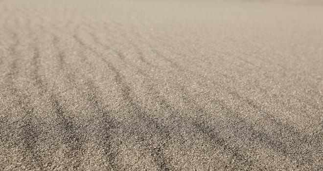 The Textured wavy gray sand all over the frame. Selective focus