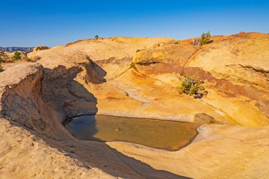 Desert Pothole on a Coloful Sandstone Ridge in El Malpais National Monument in New Mexico