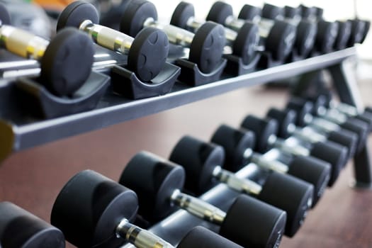many dumbbells are on stand at the gym
