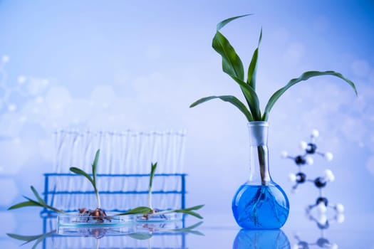 Chemical laboratory glassware, Genetically modified plant