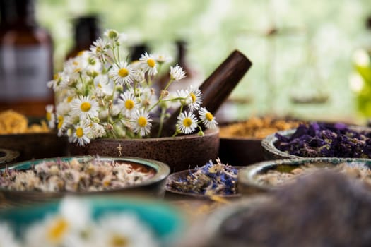 Homeopathy, herbal medicine on wooden table